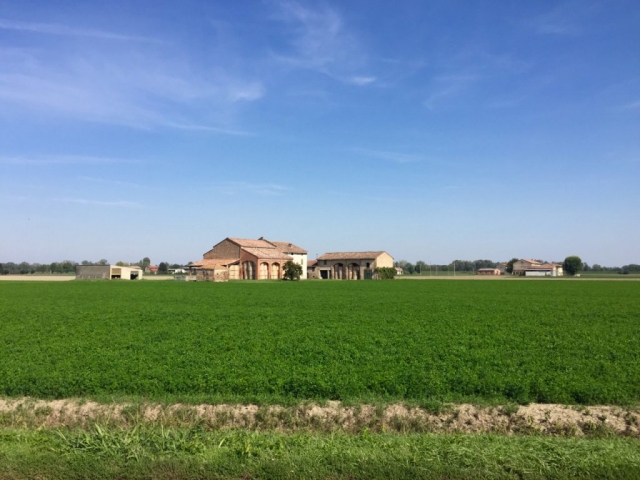 IMG_5427