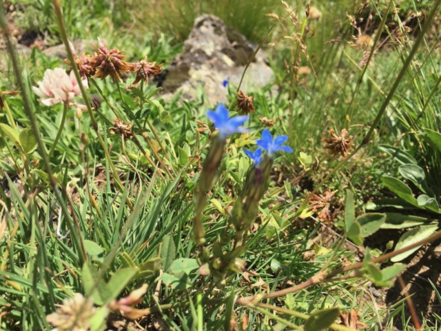 IMG_2872
