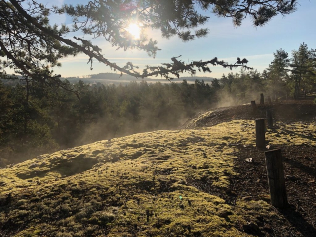 IMG_9074