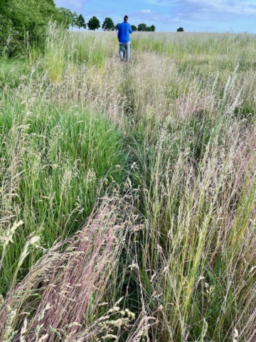 IMG_2159