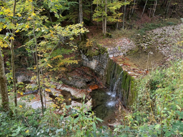 IMG_8551